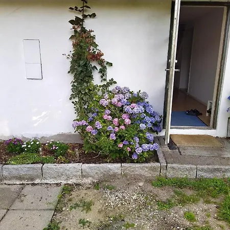 Bed & Breakfast Skovhusets I Gislev