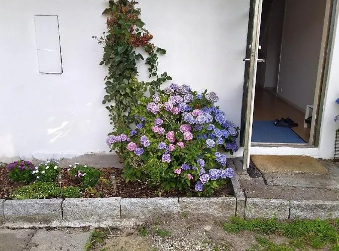 Bed & Breakfast Skovhusets I Gislev